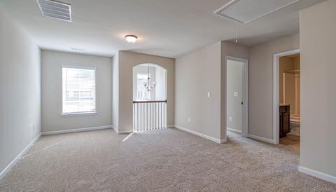 309 Denton Way, Hampton, GA 30228 photo 12