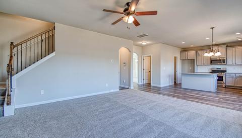 309 Denton Way, Hampton, GA 30228 photo 11