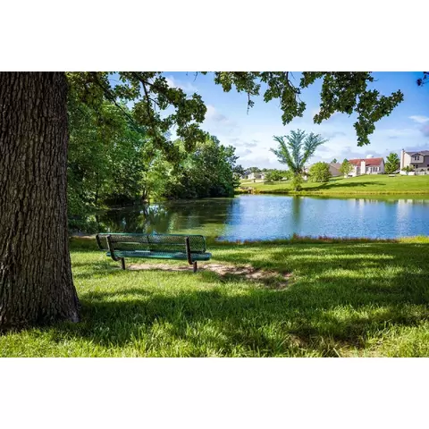 3005 Eagle Branch Cir, O Fallon, MO 63366 photo 5