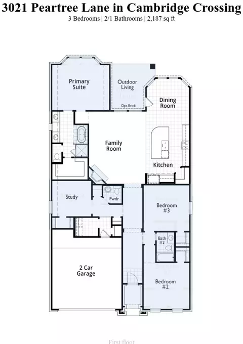 3021 Peartree Ln, Celina, TX 75009 photo 2