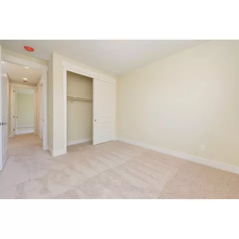 1631 Delta Downs Dr, Minden, NV 89423 photo 30