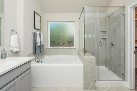 4848 Native Tree Ln, Bryan, TX 77845 photo 42