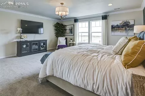 8110 Daelyn Dr, Peyton, CO 80831 photo 25