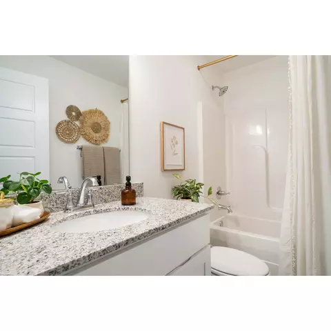 306 Eagle Edge Ave, Duenweg, MO 64841 photo 3