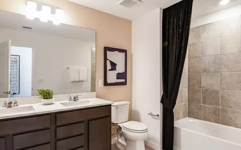 Bath - 9769 Crescent Moon Dr, Riverview, FL 33578 photo 3 of 3