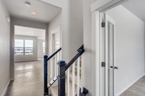 2151 Gather Dr, Windsor, CO 80550 photo 5