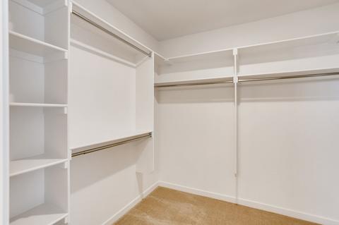 2151 Gather Dr, Windsor, CO 80550 photo 23