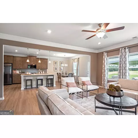 1480 Trellis Ct, Hampton, GA 30228 photo 11