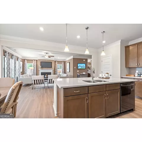 1480 Trellis Ct, Hampton, GA 30228 photo 12
