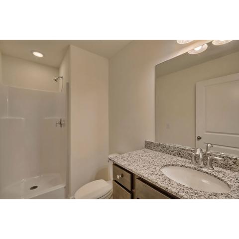 236 Wahoo Cir, Irmo, SC 29063 photo 22
