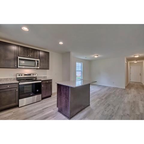 236 Wahoo Cir, Irmo, SC 29063 photo 16
