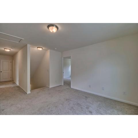 236 Wahoo Cir, Irmo, SC 29063 photo 23