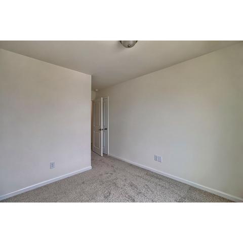 236 Wahoo Cir, Irmo, SC 29063 photo 39
