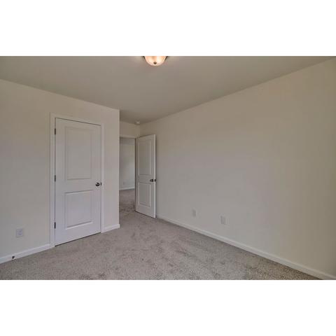 236 Wahoo Cir, Irmo, SC 29063 photo 41
