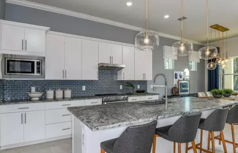 9209 Nautilus Run, Parrish, FL 34219 photo 5