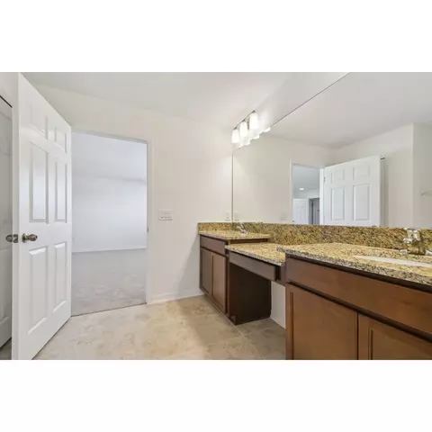 Bath - 4909 Eagle Rock Dr, Wimauma, FL 33598 photo 7 of 9
