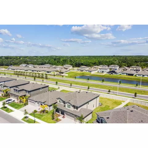 View/Area - 4909 Eagle Rock Dr, Wimauma, FL 33598 photo 8 of 9