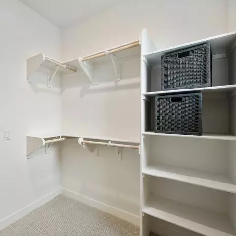 267 Lynx, Irvine, CA 92618 photo 16
