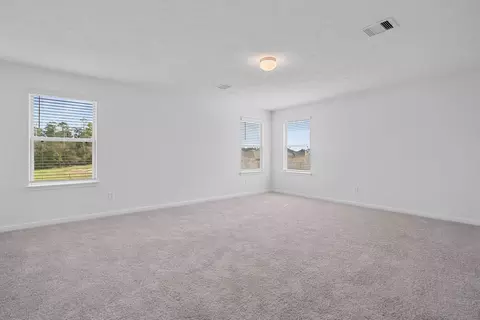 25614 Terrain Mount Dr, Spring, TX 77373 photo 11