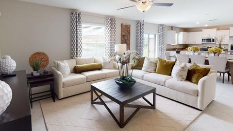 13607 Wild Ginger St, Riverview, FL 33579 photo 3