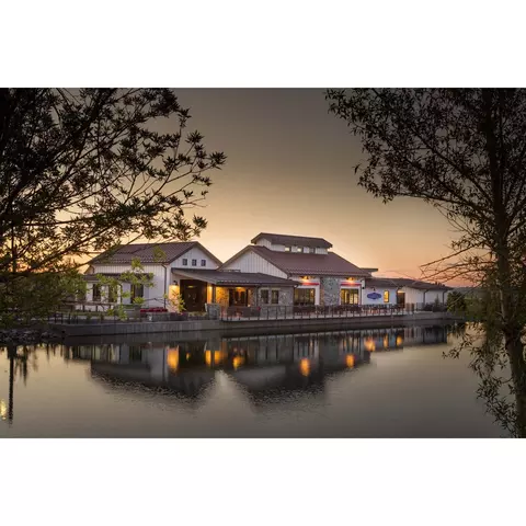 1674 Winter Glow Dr, Windsor, CO 80550 photo 59