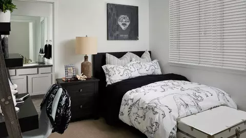 5468 Second Ave, Timnath, CO 80547 photo 5