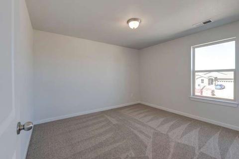 2139 Gather Dr, Windsor, CO 80550 photo 25