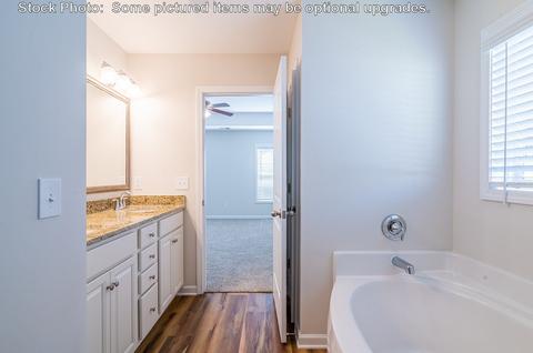 232 Doolittle Dr, Chapin, SC 29036 photo 39