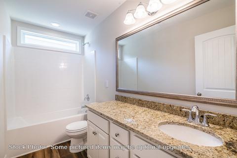232 Doolittle Dr, Chapin, SC 29036 photo 43
