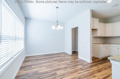 232 Doolittle Dr, Chapin, SC 29036 photo 18