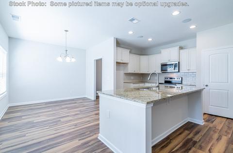 232 Doolittle Dr, Chapin, SC 29036 photo 15
