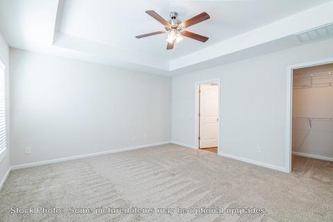 232 Doolittle Dr, Chapin, SC 29036 photo 35