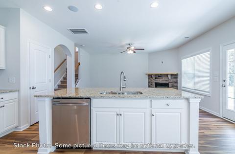 232 Doolittle Dr, Chapin, SC 29036 photo 23