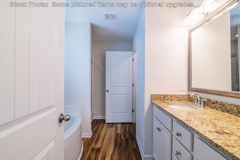 232 Doolittle Dr, Chapin, SC 29036 photo 36
