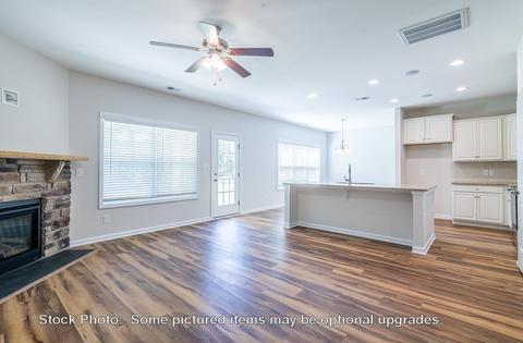 232 Doolittle Dr, Chapin, SC 29036 photo 11