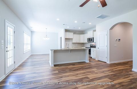 232 Doolittle Dr, Chapin, SC 29036 photo 13