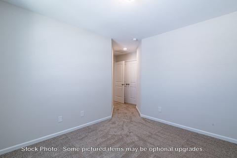 232 Doolittle Dr, Chapin, SC 29036 photo 30