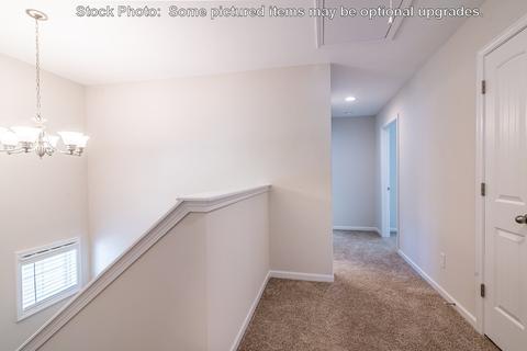 232 Doolittle Dr, Chapin, SC 29036 photo 24