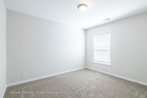 232 Doolittle Dr, Chapin, SC 29036 photo 40