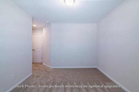 232 Doolittle Dr, Chapin, SC 29036 photo 31