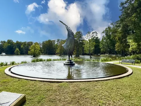 Other - 1190 Curlew Cir, Sumter, SC 29150 photo 6 of 34