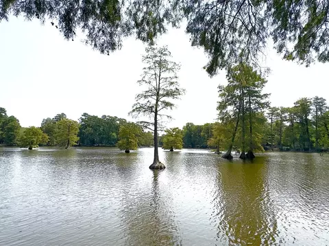 View/Area - 1190 Curlew Cir, Sumter, SC 29150 photo 4 of 5