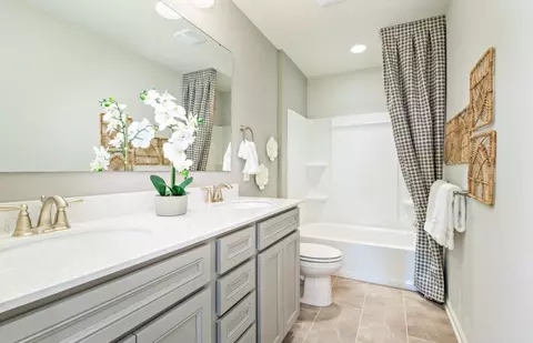 Bath - 12823 S Vicarage Dr, Plainfield, IL 60585 photo 3 of 4