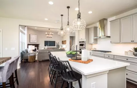 Kitchen - 12823 S Vicarage Dr, Plainfield, IL 60585 photo 3 of 6