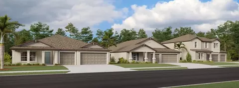 Other - 13606 Fenwick Stream Dr, Wimauma, FL 33598 photo 5 of 9