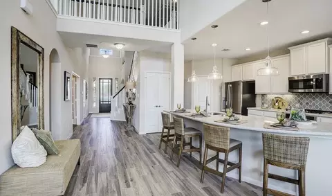 Entry Way - 21907 Iris Colony Dr, Waller, TX 77484 photo 1 of 5