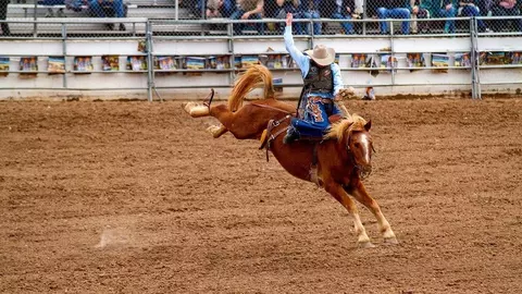 Other - Model Coming Soon, Lytle, TX 78052 photo 11 of 13
