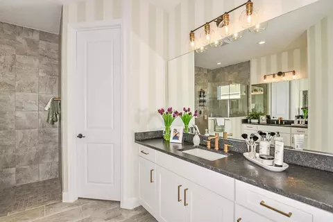 Bath - 20145 Fieldcrest Ter, Estero, FL 33928 photo 3 of 5
