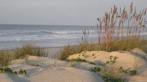 View/Area - 1213 Skystone Loop NE, Supply, NC 28462 photo 3 of 7