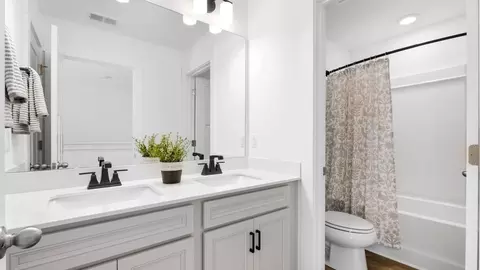 Bath - 403 Briggs Dr, Easley, SC 29642 photo 3 of 5